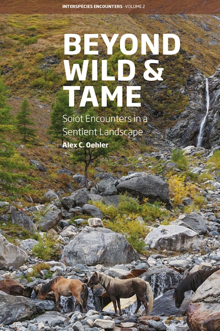 Book cover image for Beyond Wild and Tame ISBN: 9781789206784
